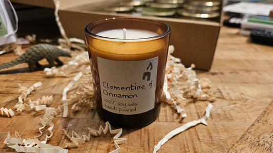 Clementine and Cinnamon 20cl Candle in Glass Jar